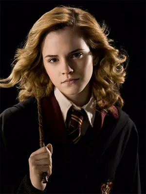 Ростовая фигура Гермиона Грейнджер (Hermione Granger) вид 2 (393x1500 мм) -  купить по выгодной цене | Магазин шаблонов Принт100