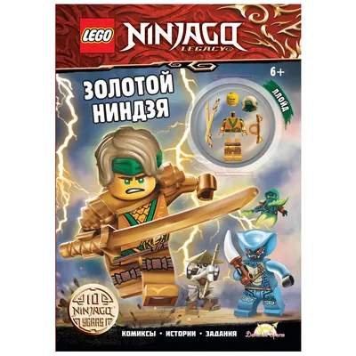 Конструктор Огненный дракон ЭВО Кая 71762 LEGO Ninjago купить в  Новосибирске - интернет магазин Rich Family