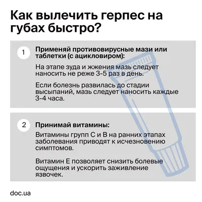 Как вывести герпес из организма навсегда. Быстрое лечение герпеса |  Мегаптека.ру