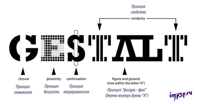 Что такое гештальтпсихология: основные идеи и принципы — 