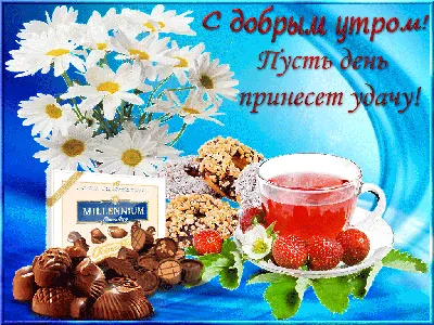 Доброе утро ❤️ | Good morning messages, Good morning gif, Morning messages