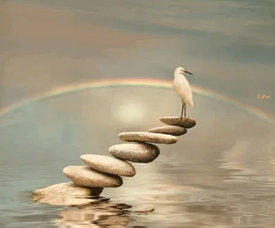 Гиф анимация Птица стоит на камнях над водой, на фоне радуги в облачном небе