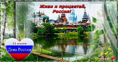 С Днём России!!! 🌿🌼☘️🌹🍀🌻🌾🥀 | Благодарственные открытки,  Поздравительные открытки, Россия