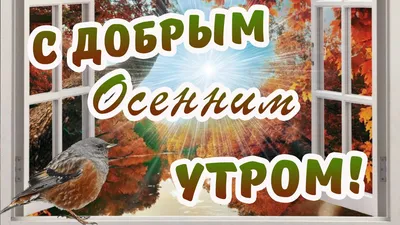 Картинки и гифки доброго осеннего утра и хорошего дня. | Zamanilka