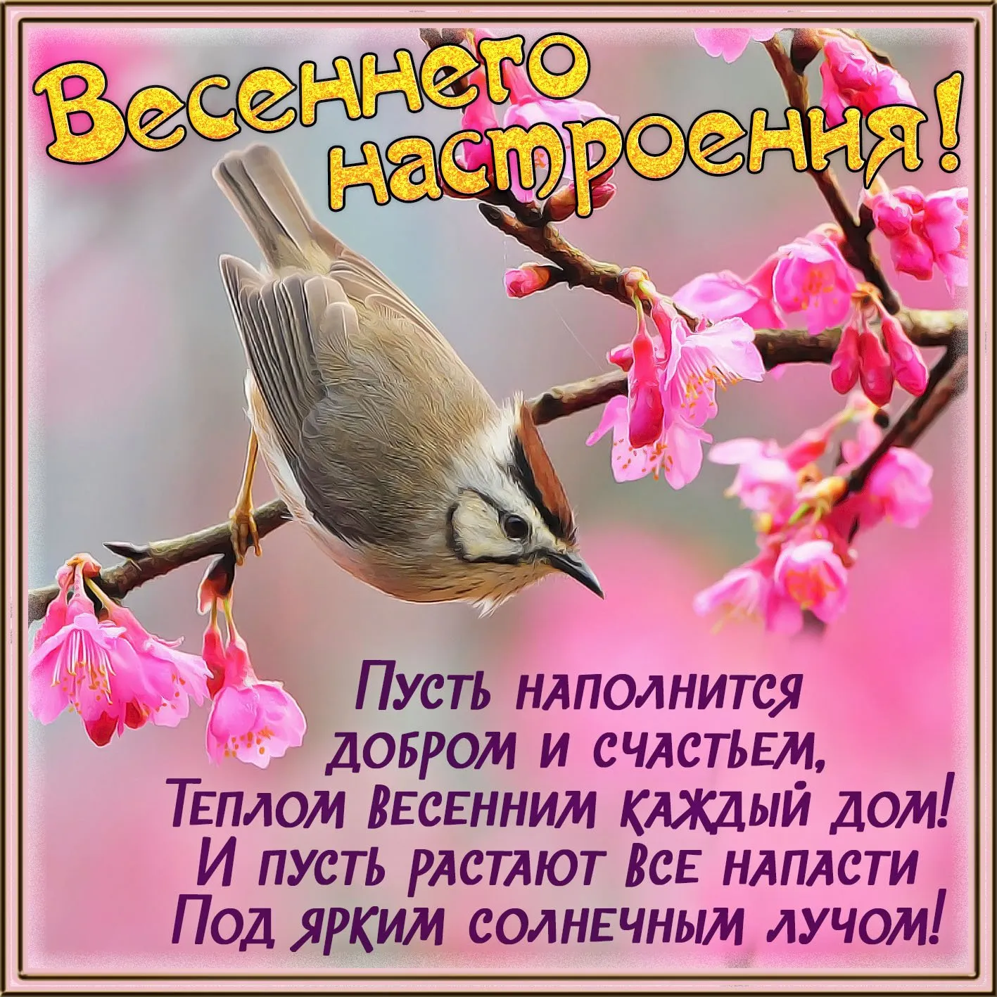 Доброго утра и хорошего дня начала весны картинки (43 фото) » Красивые  картинки, поздравления и пожелания - 