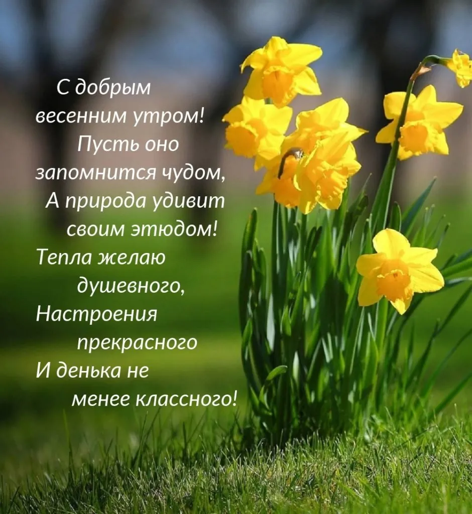 Позитивное утро весна картинки (44 фото) » Красивые картинки, поздравления  и пожелания - 