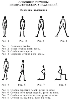 Гимнастическая терминология - презентация онлайн