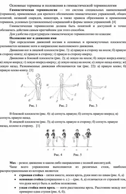 Основы гимнастической терминологии | Контент-платформа 