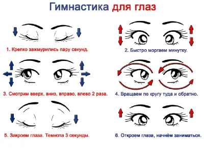 Зрительная гимнастика для школьников - Статьи - Международный центр охраны  зрения 