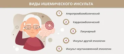 В поисках утраченного. Что поможет восстановиться после инсульта | Здоровая  жизнь | Здоровье | АиФ Аргументы и факты в Беларуси