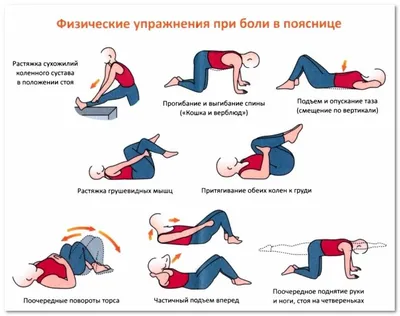 Гимнастика при остеохондрозе грудного отдела - комплекс упражнений