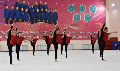Красноярск | Красноярцы выиграли первый чемпионат Сибири по художественной  гимнастики - БезФормата