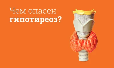 Чем отличаются Гипотиреоз, Гипертиреоз и АИТ у женщин и мужчин? | Клиника  щитовидной железы | Дзен