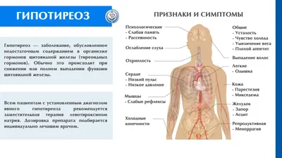 Гипотиреоз при беременности - симптомы, влияние на зачатие и течение  беременности, лечение гипотиреоза у беременных.