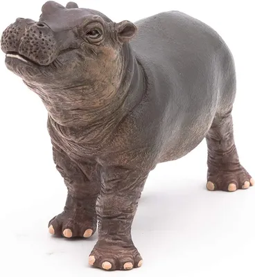 Обыкновенный бегемот или гиппопотам (лат. Hippopotamus amphibius) –  Интересные животные