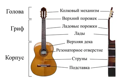 РОСПИСЬ ГИТАРЫ (на заказ) фото для примера – заказать на Ярмарке Мастеров –  DUX3PRU | Гитары, Санкт-Петербург