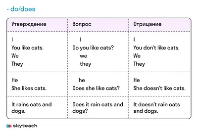 Глагол связка в английском языке: понятные примеры для начальных классов и  не только