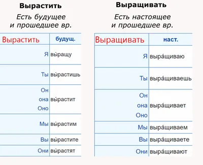 Какие существительные и глаголы самые часто употребляемые в русского языке?  | Образование | Общество | Аргументы и Факты