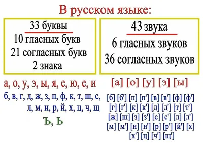 Алфавит с русскими буквами (прописными и строчными) — Файлы для школы