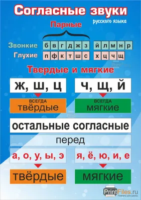 Учебный плакат "Буквы и звуки русского языка", А4 - купить книгу с  доставкой в интернет-магазине «Читай-город».