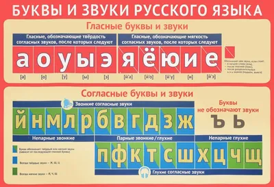 Книга Школьная Книга Звуки и буквы русского алфавита Рабочая тетрадь для  детей 4-5 лет купить по цене 89 ₽ в интернет-магазине Детский мир