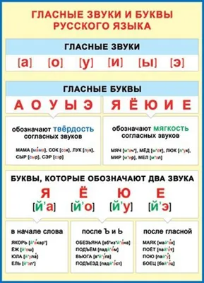 Плакат 50*70см "Гласные звуки и буквы русского языка" - Элимканц