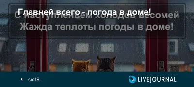 Главней всего погода в доме, а для нее важней всего уют | Твоя соседка |  Дзен