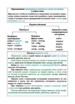 Главные правила. Русский язык. Имя существительное - купить в Москве, цены  на Мегамаркет