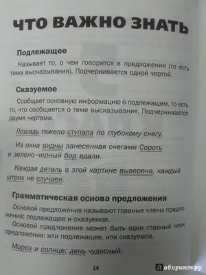 Главные правила русского языка в картинках - М. С. Фетисова | Книги для  учителей, Правила правописания, Язык