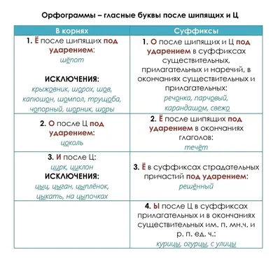 Основные правила русского языка. Орфография. 2 часть Анна Красницкая :  купить в Минске в интернет-магазине — 