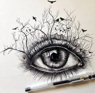 Как нарисовать глаза карандашом поэтапно - Лайфхакер