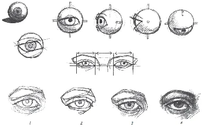 Уроки рисования. Как рисовать глаза. Урок первый. Рисунок карандашом.  Основы построения глаз. - YouTube