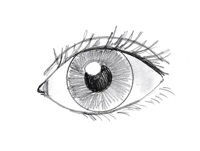 Подведут глаза карандашом и выглядят старше (а иногда вид становится хуже):  2 простых нюанса, которые меняют вид глаз | О макияже СмиКорина | Дзен