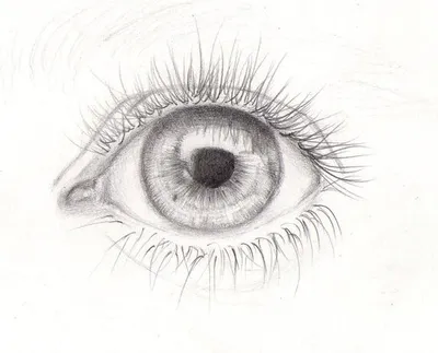 Как нарисовать глаз человека поэтапно 9 уроков