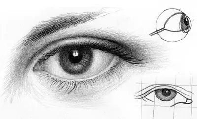 Как рисовать ГЛАЗ карандашом. Урок 57. How to Draw a Realistic Eye. Lesson  57 - YouTube