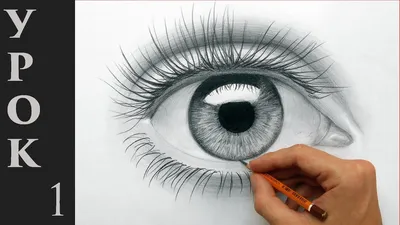 Как РИСОВАТЬ ГЛАЗ карандашом. Урок рисования | Рисовать глаза, Уроки  рисования, Рисование