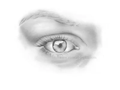 Как нарисовать глаза: поэтапные мастер-классы рисования глаз карандашом