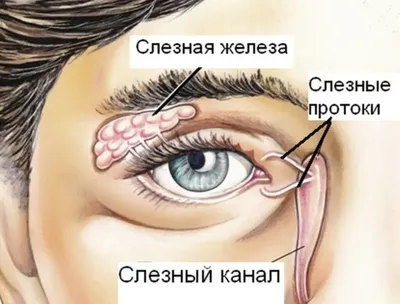 Плач Голубой Правого Глаза — стоковые фотографии и другие картинки  Безнадёжность - Безнадёжность, Болезнь, Боль - iStock