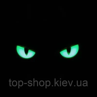Шеврон кошачьи глаза светятся в темноте пвх cat eyes (ID#1789170885), цена:  180 ₴, купить на 