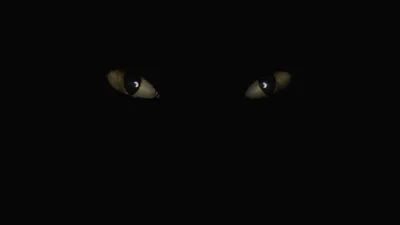 Глаза в темноте | Пикабу