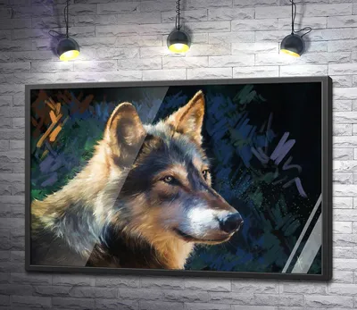 Купить постер "Суровый взгляд волка" с доставкой недорого |  Интернет-магазин "АртПостер"