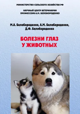 Болезни глаз у собак и кошек: симптомы, лечение, когда обращаться врачу -  