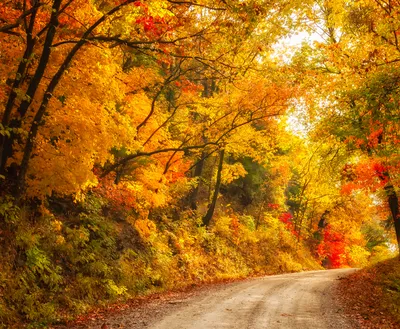 🍁Глубокая осень в Аргентине. | Españolinfo. Твой испанский мир🌎 | Дзен