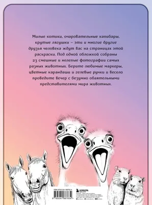 Набор тетрадей 48 листов в клетку без полей ПОЛИНОМ Глупые звери А5+ на  спирали/гребне 4шт/уп - купить с доставкой по выгодным ценам в  интернет-магазине OZON (623725405)