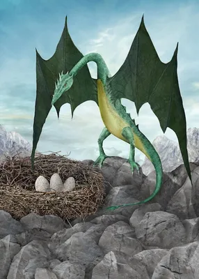 гнездо дракона