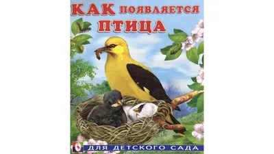 Рабочие спилили дерево с вороньим гнездом и оставили птенцов без дома в  Барнауле