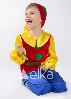 Purpurino костюм Гномика для мальчика 9364 — купить в интернет магазине  детской одежды | Цена | Киев, Одесса, Харьков, Днепр