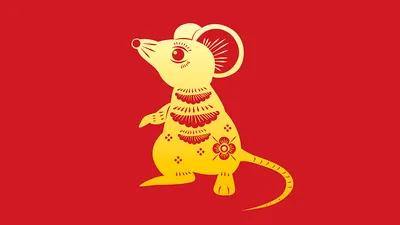 Год Крысы: какие года, когда будет, описание, характеристика знака по  китайскому (восточному) гороскопу