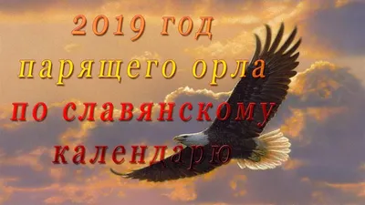 Год Свиньи или год Парящего орла: что же нам праздновать?