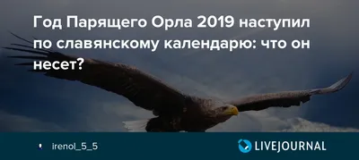 Год Парящего Орла 2019 наступил по славянскому календарю: что он несет?